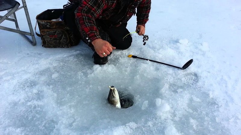 Best ice fishing online game in Canada